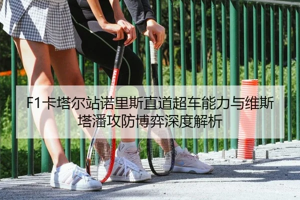 F1卡塔尔站诺里斯直道超车能力与维斯塔潘攻防博弈深度解析